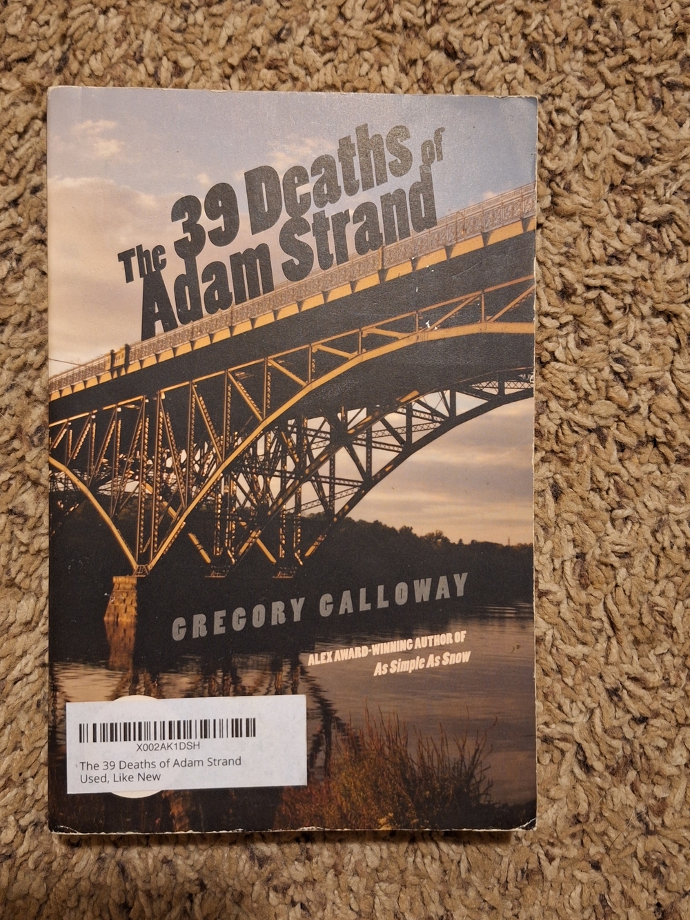 The 39 Deaths Of Adam Strand By Gregory Galloway Book